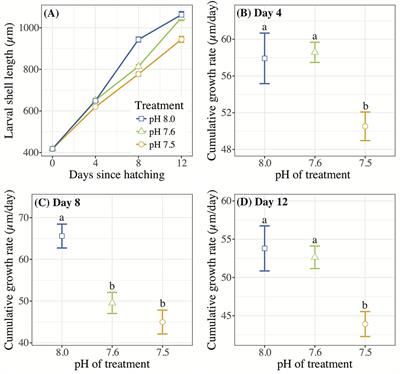 Resilience of Atlantic Slippersnail Crepidula fornicata Larvae in the Face of Severe Coastal Acidification